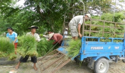 Lạ mắt chợ cỏ Củ Chi